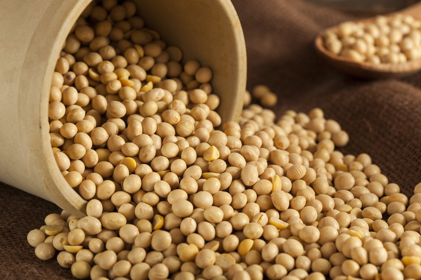 Hunza Natural Foods Organic Soybeans, 32 Ounce (2 lbs), Non-GMO, Pack of 1