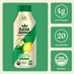 Saint James Iced Tea - Organic Green Tea - Non Gmo, Gluten Free, Low Calorie & Low Sugar - Original Green Tea, 12 Pack (16 Fl Oz