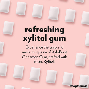 Xyloburst Gum | Xylitol Chewing Gum | Sugar Free, Gluten Free, Keto Friendly | Aspartame Free Gum | Cinnamon | 500-Count Bag