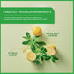 Wissotzky Nana Mint & Lemon Fusion Tea, Caffeine Free, 20 Tea Bags, 1.55 Ounce