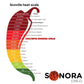 Sonora Chilo - (Chile Chiltepin Silvestre) Dried Chiltepin Pepper 1 Oz (28gr) Whole Tepin Pepper Chili Pods, Very Hot! Extra Spi