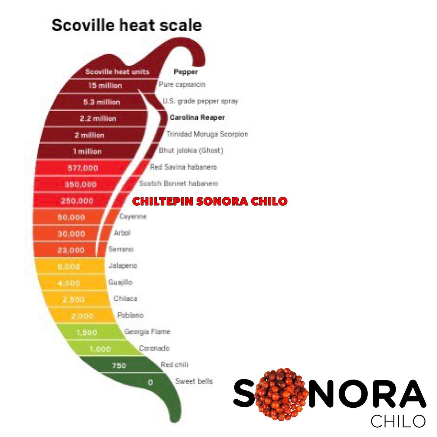 Sonora Chilo - (Chile Chiltepin Silvestre) Dried Chiltepin Pepper 1 Oz (28gr) Whole Tepin Pepper Chili Pods, Very Hot! Extra Spi