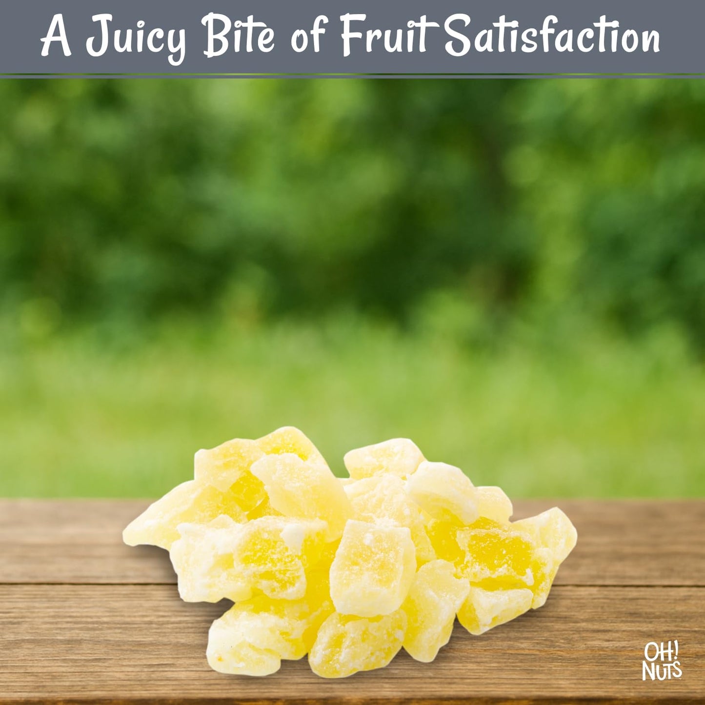 Oh! Nuts Dried Pineapple - 1.5 LB - Dried Fruit Diced - Less Sugar Added - Dehydrated Fruit Bites - Packed in New York Zip-Seal