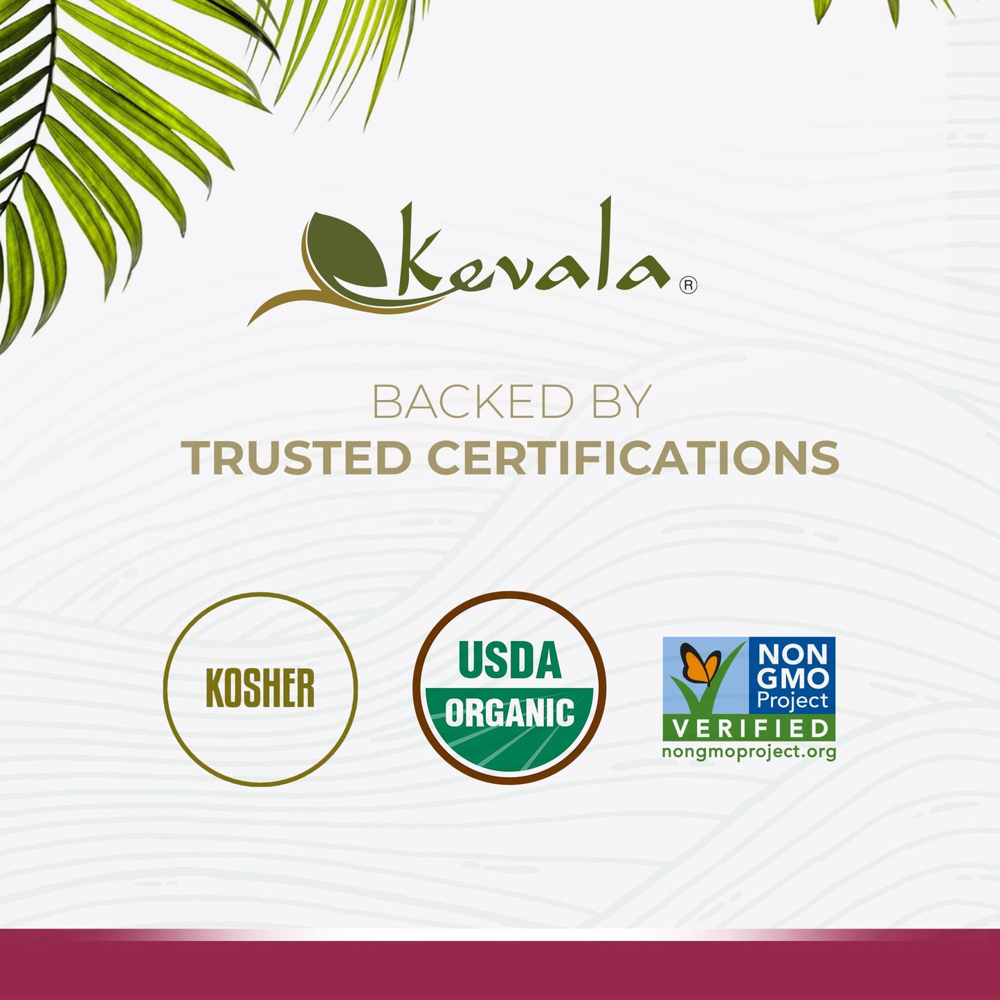 Kevala Organic Coconut Butter - 36 lb - 16.32kg - Organic Raw - Coconut Butter Spread for Eating - Pure - Gluten Free - Dairy Fr