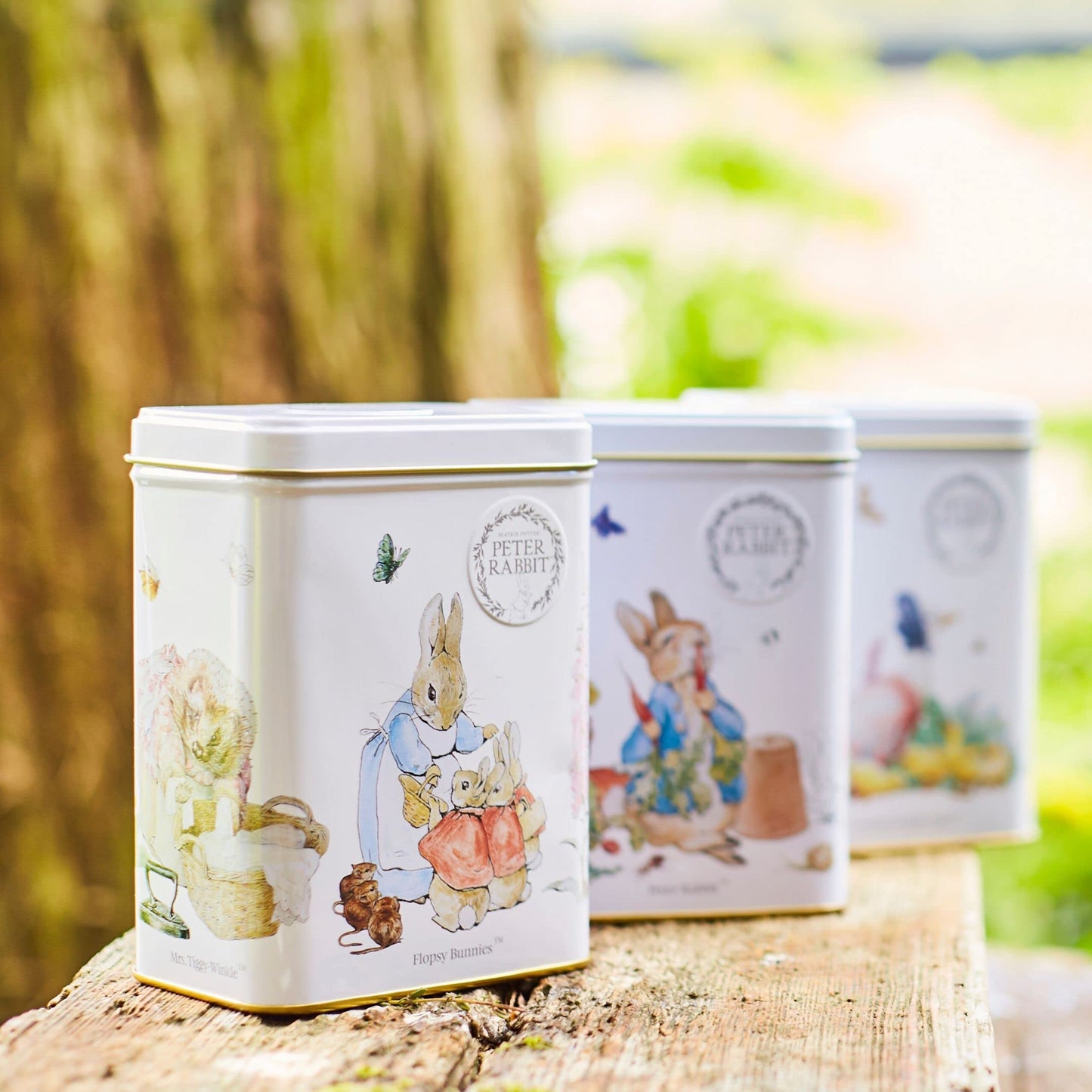 New English Teas Beatrix Potter Peter Rabbit Flopsy Bunnies Tea Tin With 40 English Afternoon Teabags
