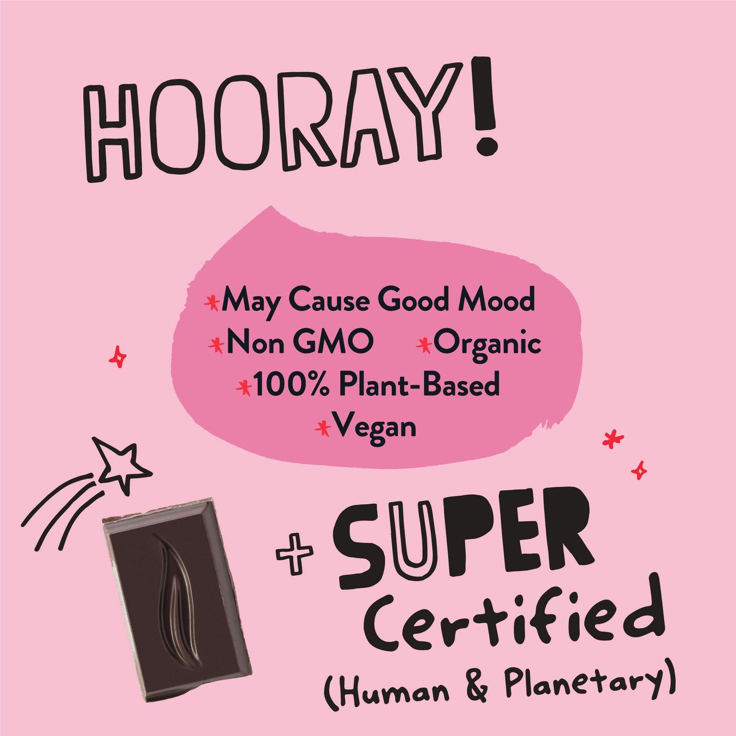 Pascha Organic 100% Cacao Chocolate Bars with Cocoa Nibs, Gluten Free, Non-GMO, 2.82 oz (Pack of 5)