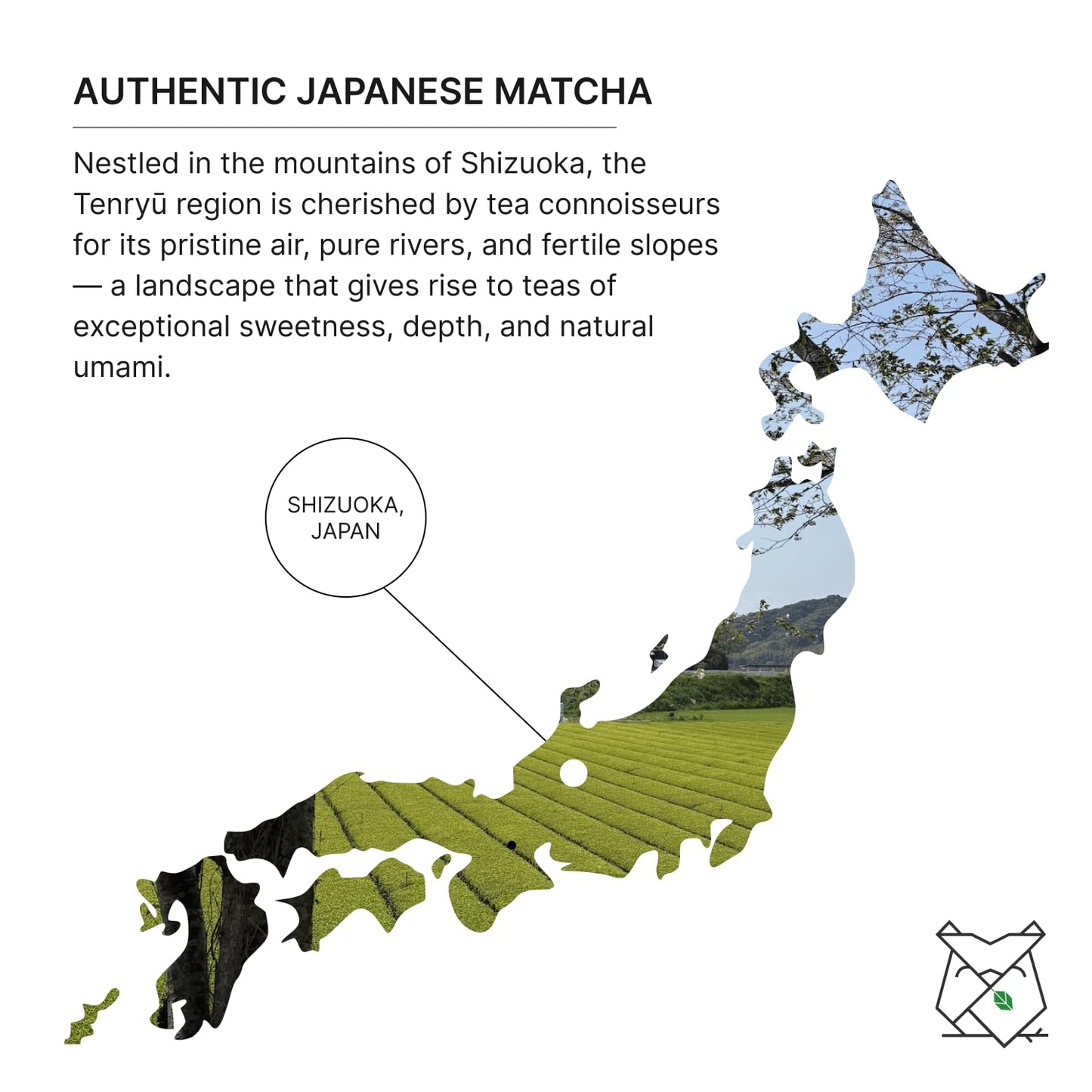 FKRO Organic Ceremonial Grade Matcha Green Tea Powder | 1st Harvest  Single Origin  Single Saemidori Cultivar | Flown in Fresh from Japan Every Month (30g/1.06oz) Tin