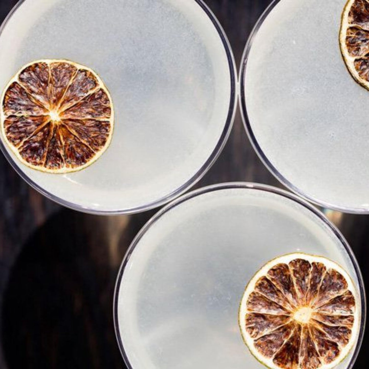 Dehydrated Dried Lime Slices Wheels | 17+ Slices | 100% Natural | Dry Limes for Garnishing, Cocktails, Baking, Wreaths & Drinks