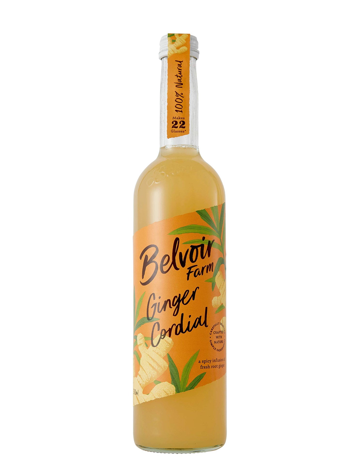BELVOIR FRUIT FARMS Ginger Cordial Drink Mix – Bold and Spicy, 500ml (16.9 FlOz), Vegan-Friendly, No Artificial Flavors
