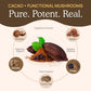 Real Mushrooms Organic Hot Chocolate Mix with 5 Mushroom Defenders, 8.4 Ounce, Vegan, Model 2334-RM-HCU240