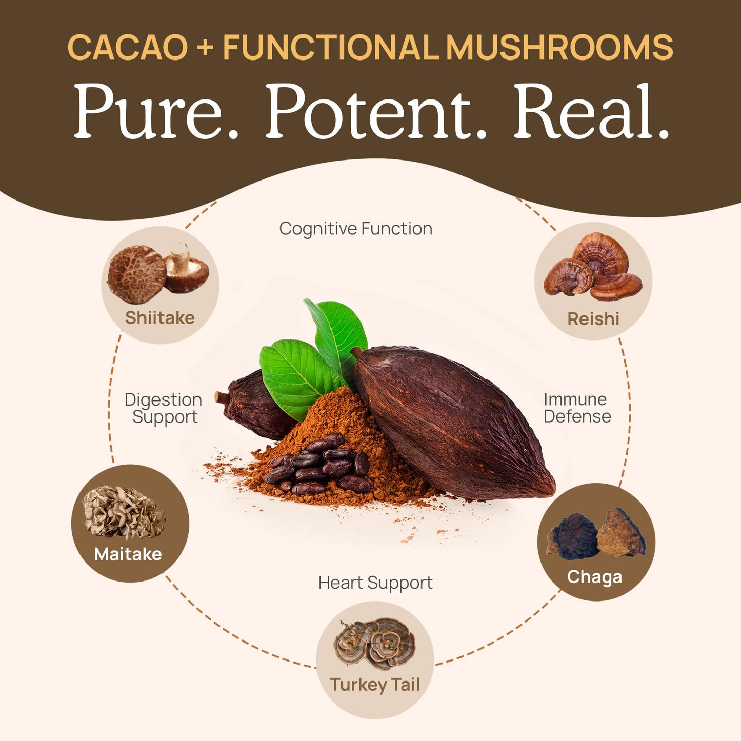Real Mushrooms Organic Hot Chocolate Mix with 5 Mushroom Defenders, 8.4 Ounce, Vegan, Model 2334-RM-HCU240