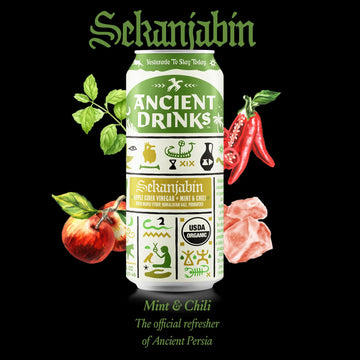 ANCIENT DRINKS Apple Cider Vinegar Beverage with Electrolytes & Probiotics, Mint & Chili, 16 fl oz, Pack of 12 Cans