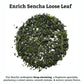 Sugimoto Tea Japanese Green Tea Loose Leaf 3.5 Oz (100 G) Pack Of 1, Traditional Deep Steamed Fukamushi Sencha Teas Made In Shiz