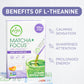 Aiya Matcha+ Focus - Peach Flavored Matcha Drink Mix With L-Theanine - 220Mg L-Theanine - Natural Focus Booster - Premium Japane