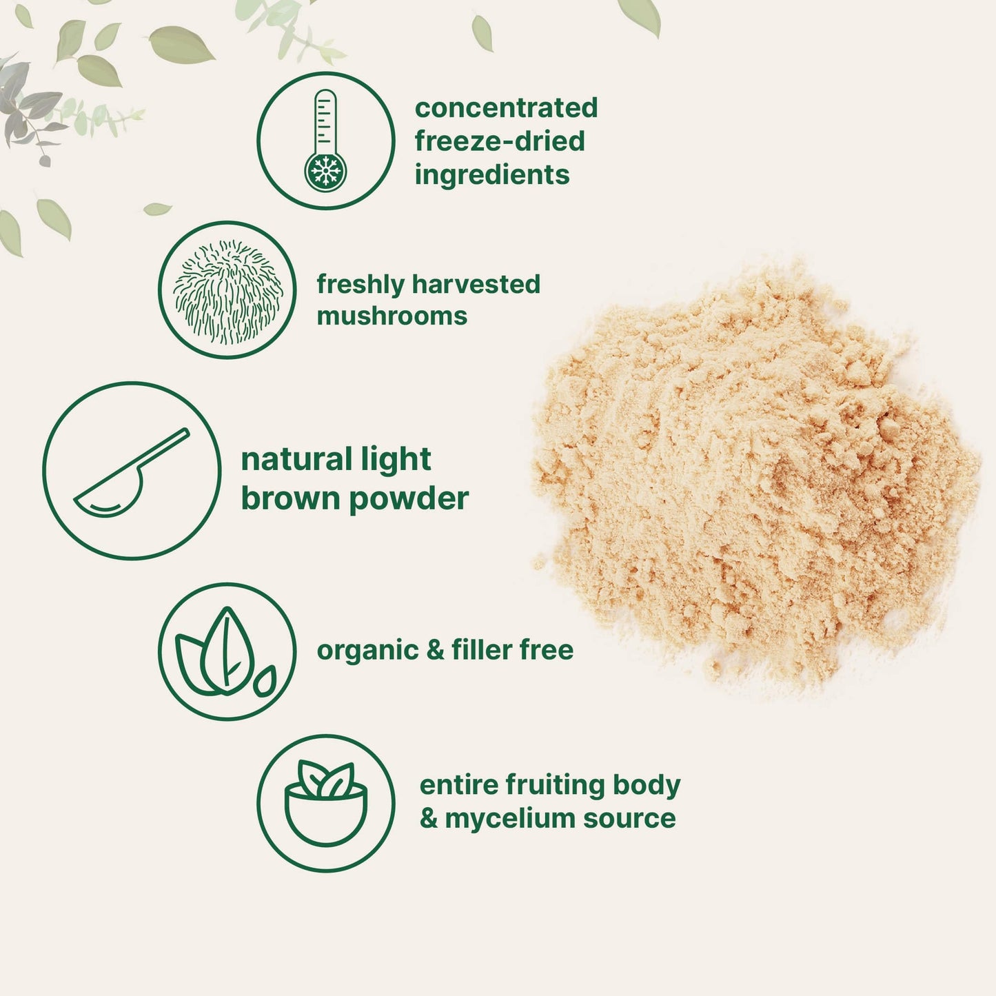 Micro Ingredients Organic Lions Mane Mushroom Powder, 16oz | Pure Fruiting Body Superfood | Supports Brain, Focus, Energy & Immu
