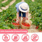 Premium Freeze Dried Strawberry Powder 1LB /453g, 1 Ingredient,No Sugar Added,100% Natural Strawberry Powder for Baking,No Addit