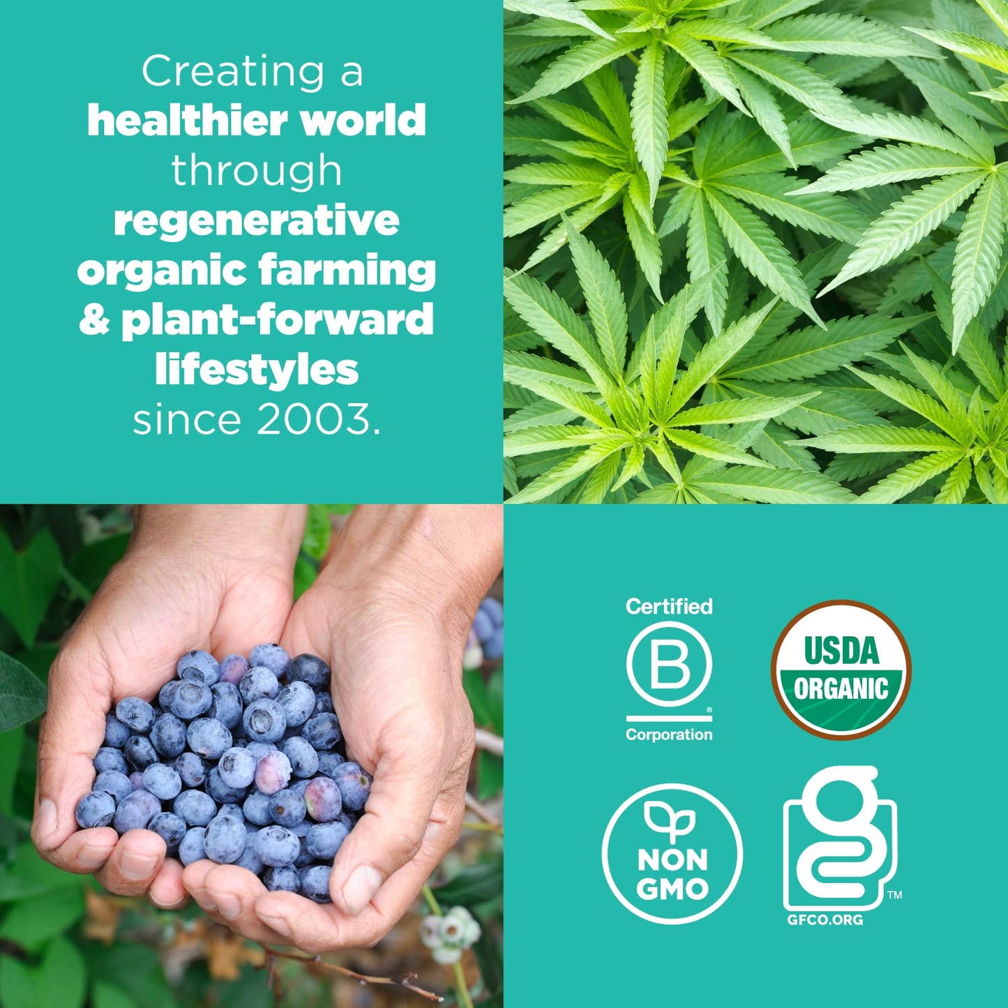Navitas Organics Superfood Power Snacks, Blueberry Hemp, 8oz Bag, Organic, Non-GMO, Gluten-Free, Model 82077