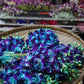 Sunne Tropical Orchidclub Usa Fresh Cut Flowers Dendrobium Orchids (10 Stems Blue)