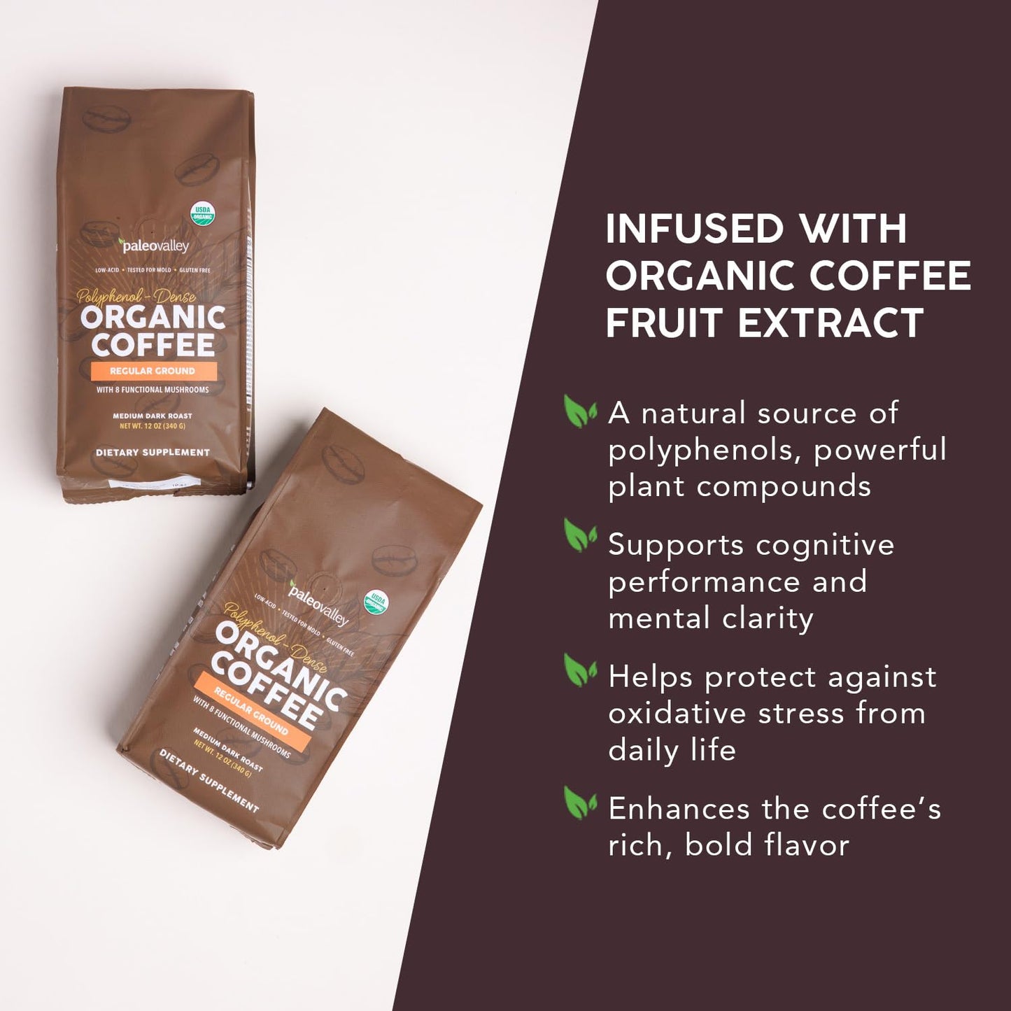 Paleovalley Organic Ground Coffee, 12oz - Low Acid, Single-Origin, Polyphenol-Rich, Mushroom & Coffee Fruit Infused