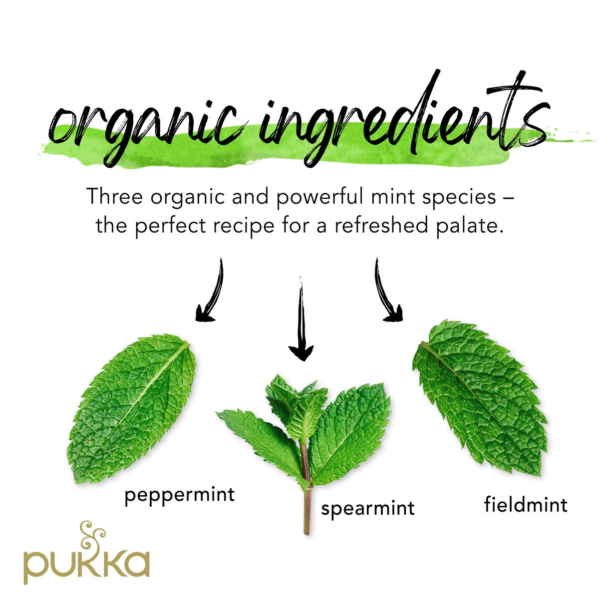 Pukka Organic Tea Bags, Three Mint Herbal Tea, 20 Tea Bags