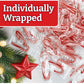 Peppermint Mini Candy Canes (96 Individually Wrapped Candies) Bulk Christmas Candy | Bundled With Free Sameday Shippers Fun Stic