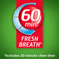 Dentyne Ice Spearmint 9Ct