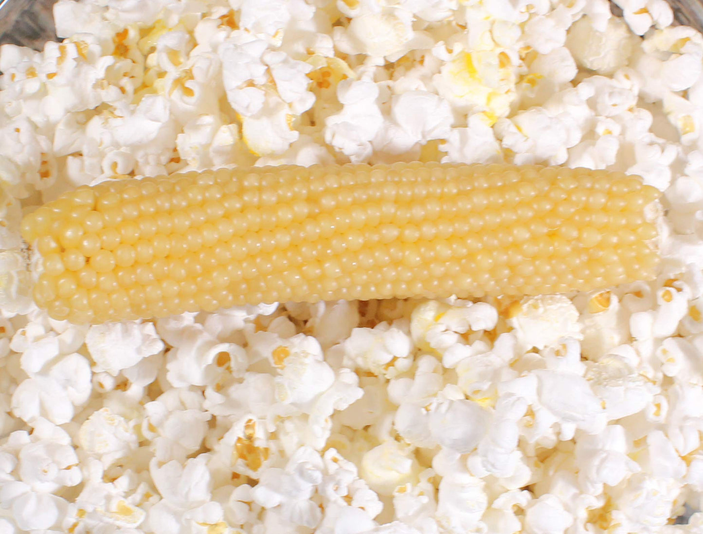 Amish Country Popcorn | Old Fashioned Microwave Popcorn | Non-Gmo, Gluten Free, Microwaveable And Kosher (White Corn On The Cob,