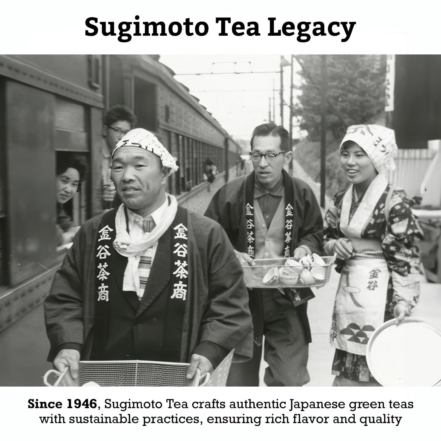 Sugimoto Tea Japanese Green Tea Sencha Loose Leaf Bulk 1.0 Lb (454 G) Pack Of 1