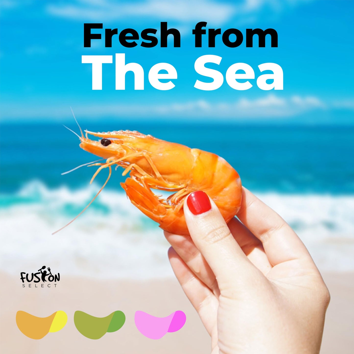 Fusion Select 2 Pk Uncooked Prawn Crackers - Multi-Colored Shrimp Chips For Sharing, Serving Snack Platters At Parties - Dehydra