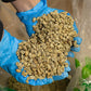 Fresh Roasted Coffee, Unroasted Sumatra Mandheling | Single Origin | Kosher | 5 Pound