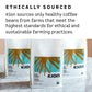 Kion Organic Whole Bean Coffee, Tested for Toxins, Ethically Sourced, Rich, Bold, and Smooth, Medium Roast 12 Oz (1 Pack)