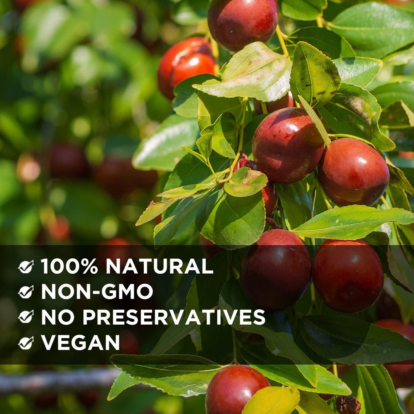 NESTLADY Premium Jujube Dates, Natural Dried Fruit, Sweet & Chewy, 2LB (2 Packs)