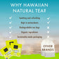 HAWAIIAN NATURAL T·E·A Organic Tropical Fruit Green Tea, Passion Fruit Orange Flavor, 120 Tea Bags, 20 Count (Pack of 6)