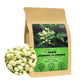 FullChea Dried Jasmine Flowers - Premium Edible Whole Buds, Non-GMO, Caffeine-free, 3oz/85g