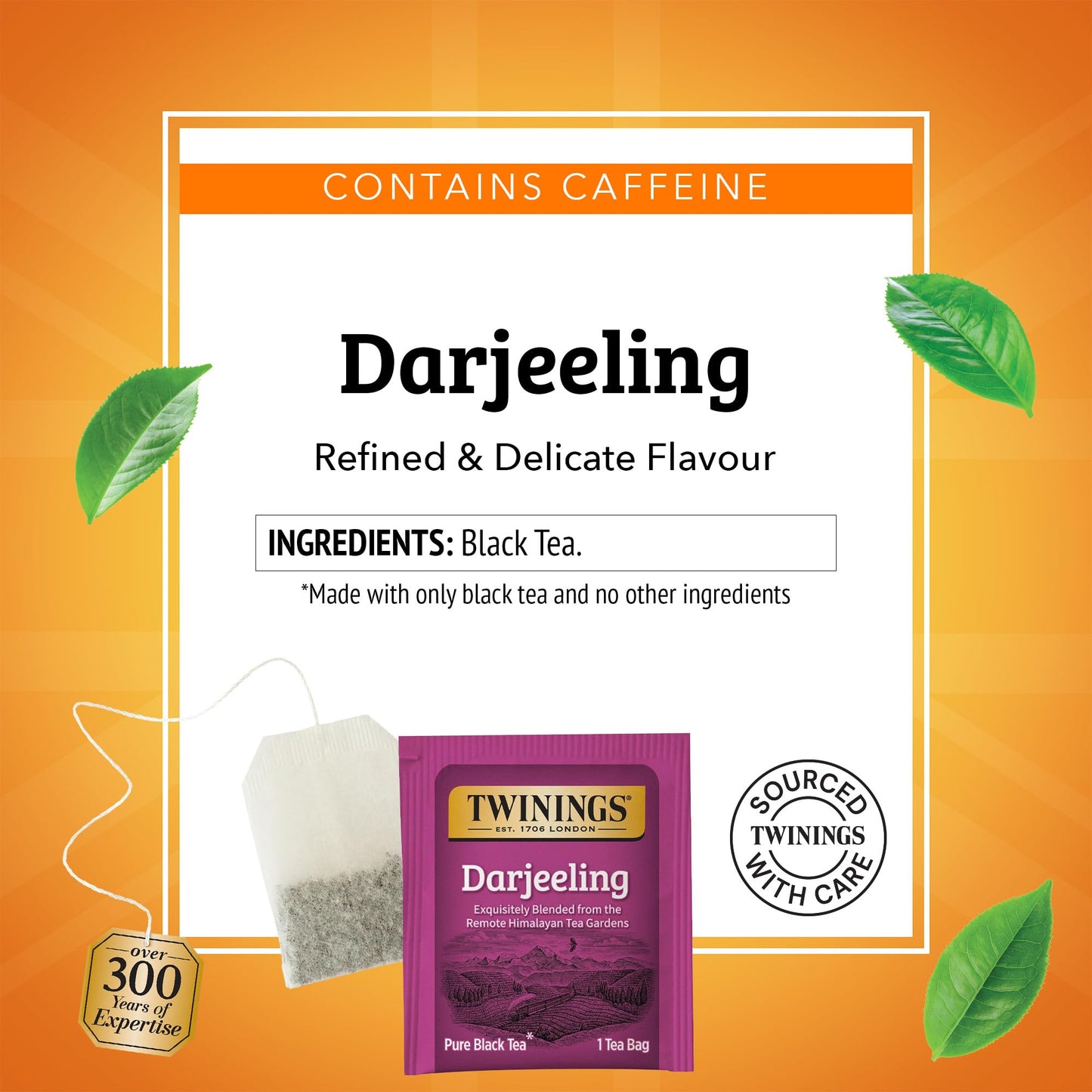 Twinings Darjeeling Black Tea Individually Wrapped Bags, 20 Count (Pack of 6), Delicate Light Taste, Caffeinated, Enjoy Hot or I