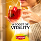 Lipton Black Tea Bags  Hot or Iced High Caffeine Tea  240 Total Bags (20ct - Pack of 12)