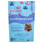 Clusterbucks Gut Friendly Granola Clusters made with Sprouted Buckwheat and Acai Berry, Gluten Free Snack (Blueberry Crisp, 1 Pa