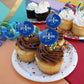 Indiana State University Primary Logo Cupcake Picks Toppers Decoration Set Of 6