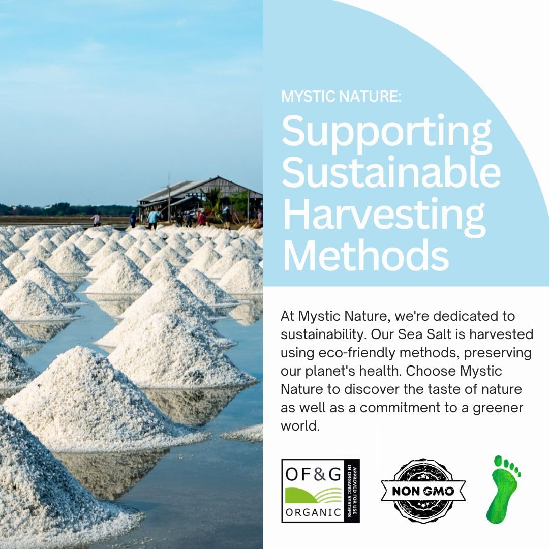 Celtic Harvest Fine Ground Sea Salt - 1.1lb - 18oz | Rich in 82+ Essential Minerals | 100% Natural & Unrefined | Hand Harvested