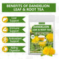 ULTHMOK Dandelion Leaf & Root Tea - 100 Tea Bags, Caffeine Free, Supports Digestion, 7.06 Oz