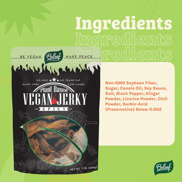 Beleaf Spicy Plant-Based Jerky | Delicious Meat Substitute | Low Carb, Non-GMO, Dairy Free, Plant Protein | Natural Ingredients