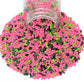 Mystic Sprinkles Jimmy Mixes (Wacky Watermelon Jimmy Mix 3oz)