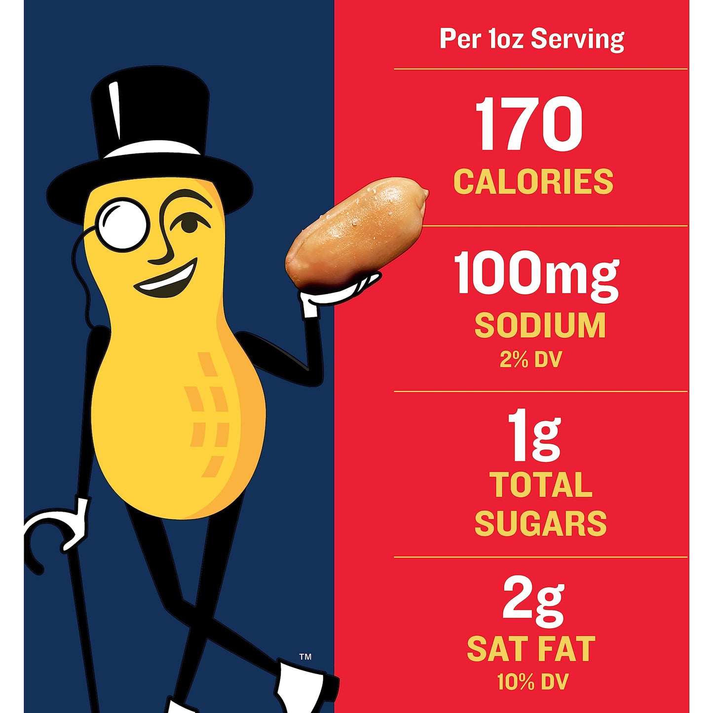 Planters Salted Cocktail Peanuts, Plant Based Protein, 16oz Canister