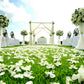 Miami Fresh Orchid Loose Bloom Perishable Flowers Orchidclub Usa Sunne Tropical Diy Lei, Food & Drink Decoration (100 White)