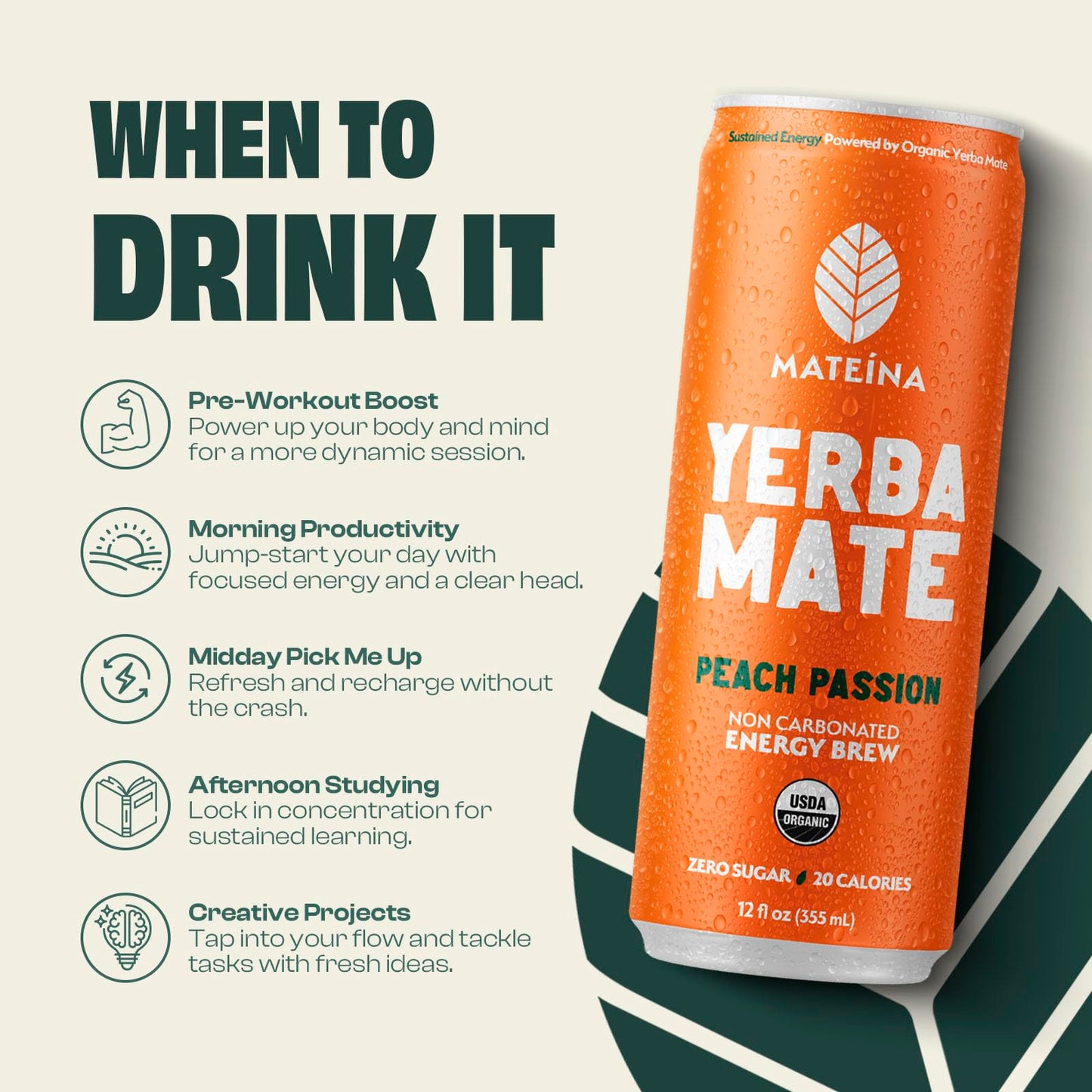 Mateina Yerba Mate Zero Sugar Energy Drink - 120mg Natural Caffeine - Organic  Non-GMO  Non-Carbonated - Dr. Andrew Huberman Recommended - 12 Pack (12oz Cans) (12 Pack  Peach Passion)