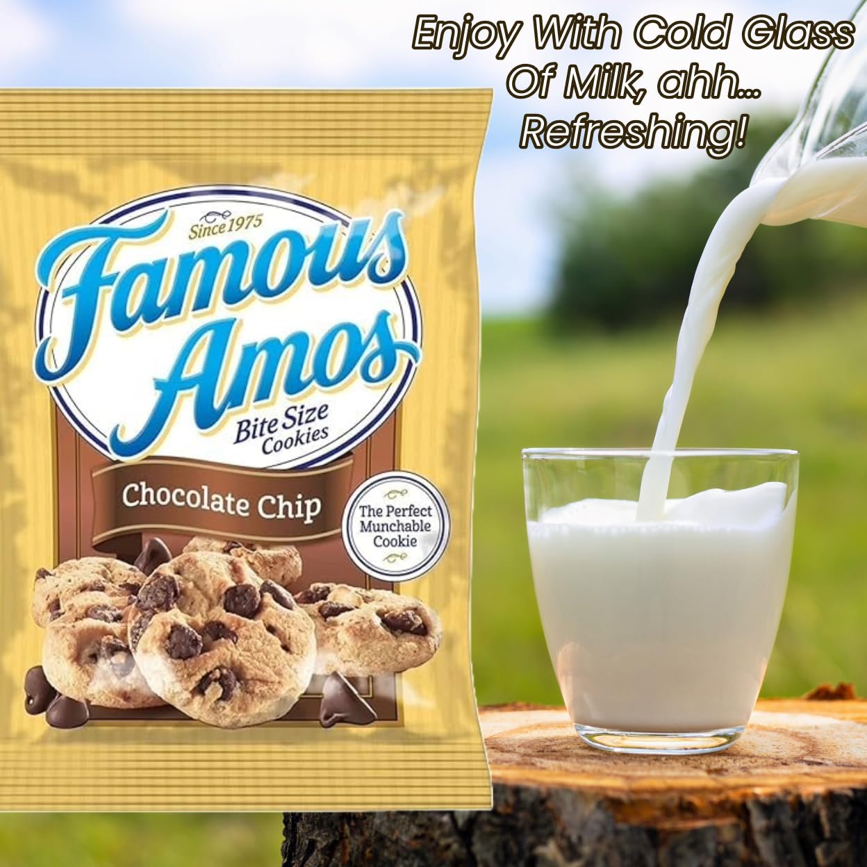 Prime Grade Famous Amos Chocolate Chip Cookies, 42Ct Of 2Oz Bags, Bundle Vaule Box