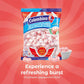Colombina Jumbo Peppermint Balls, Individually Wrapped Red & White Hard Candy Delights, 2 Pack (240 Count)