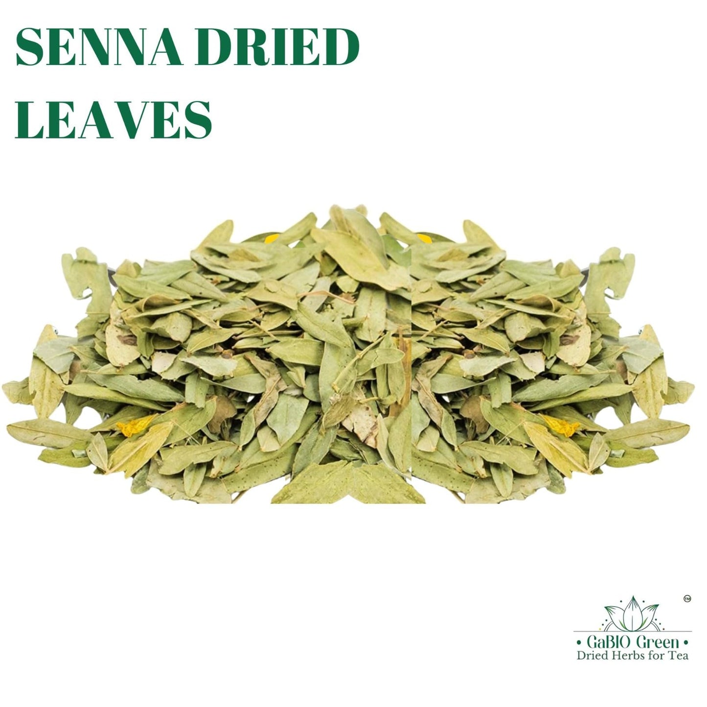 Gabio Green Natural Senna Leaves, Dried Herbal Leaves, Non-GMO, Gluten-Free, 8oz Resealable Bag