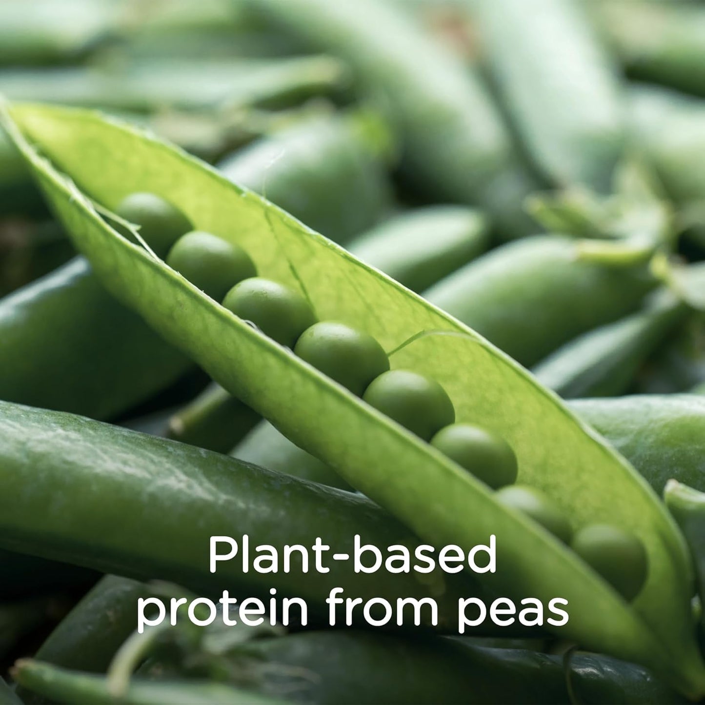 Compleat Pediatric Standard 1.0 Plant-Based Vanilla Nutrition Shake, 8g of Protein, 27 Vitamins & Minerals - Vegan Tube Feeding