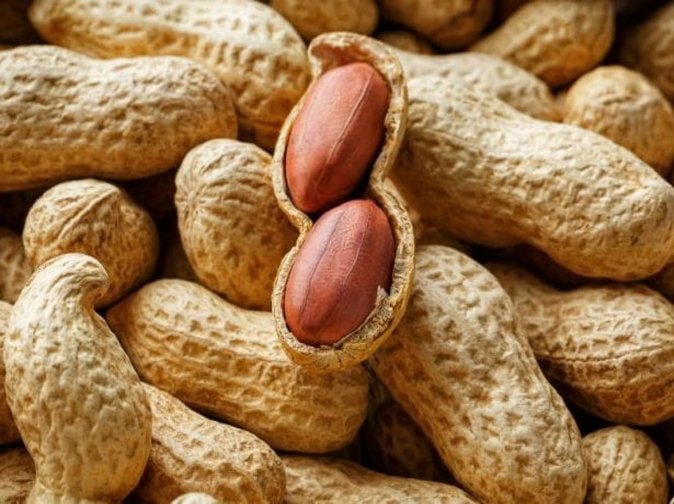 Meenakshi Spices - Organic & Purity Of Nature Roasted Groundnut With Shell | Bhuni Sabut Mungfali 1 Kg